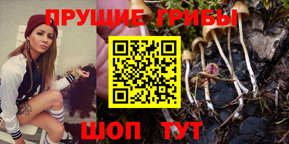 Каменск-Уральский  Галлюциногенные грибы Cubensis  Вход с VPN 
